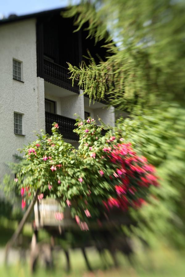 Landhaus Am Forst - Apartments Bad Alexandersbad Εξωτερικό φωτογραφία